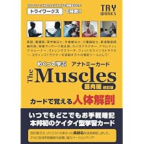 Amazon.co.jp: めくって学ぶ アナトミーカード The Muscles 筋肉編